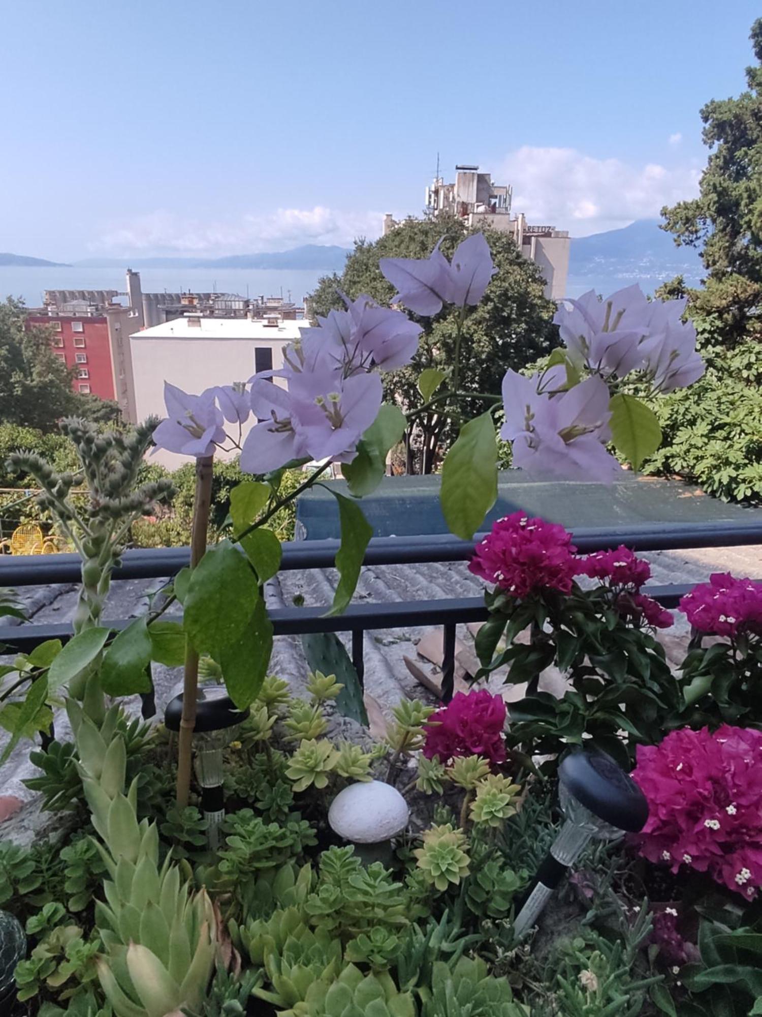 Apartman Bella Vista Rijeka Apartment Exterior photo